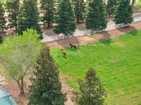 View/Area - 24521 N Mcintire Rd, Clements, CA 95227 photo 7 of 9