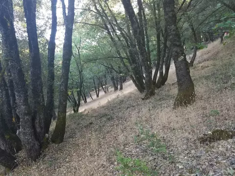 16424 Annie Dr, Grass Valley, CA 95949