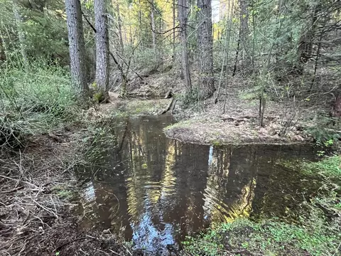 18035 Mobley Springs Rd, Nevada City, CA 95959