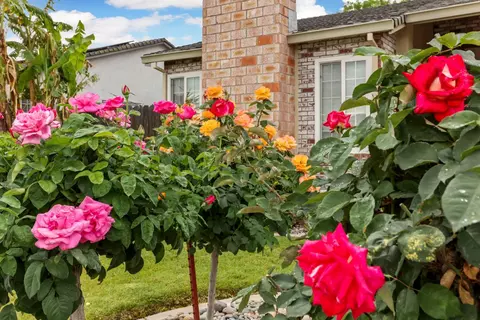 Exterior - 929 Kapareil Dr, Tracy, CA 95376 photo 6 of 14