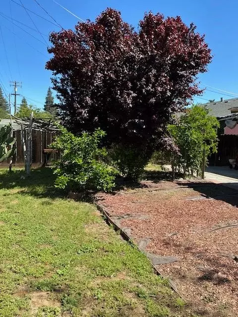 Exterior - 1629 Tonilane, Modesto, CA 95351 photo 2 of 2