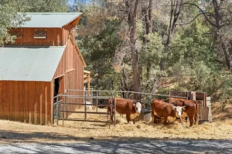 Other - 2004 Bruin Trl, Placerville, CA 95667 photo 15 of 18
