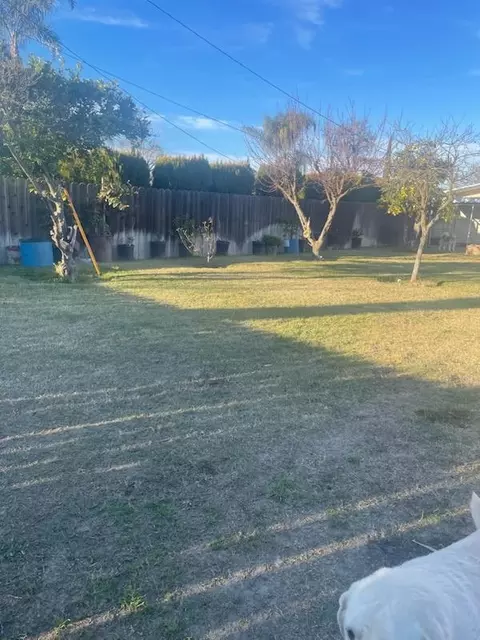 229 E St, Los Banos, CA 93635 photo 5