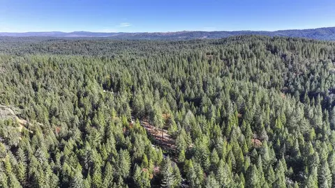 View/Area - 5060 Chestnut Ct, Georgetown, CA 95634 photo 4 of 4