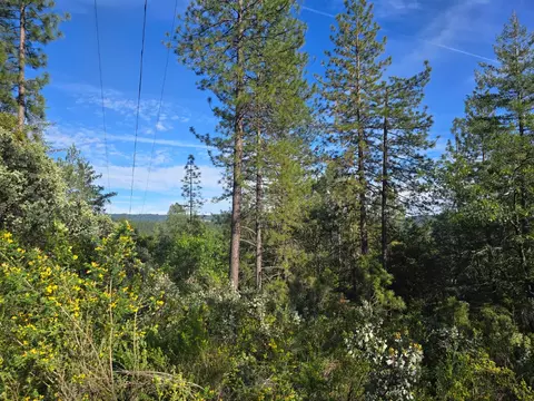 0 P C Ln, Colfax, CA 95713