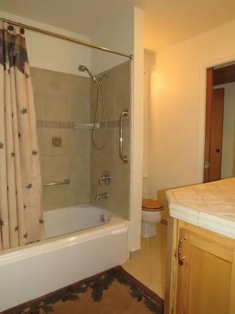 Bath - 25160 Pineview Dr, Colfax, CA 95713 photo 3 of 5