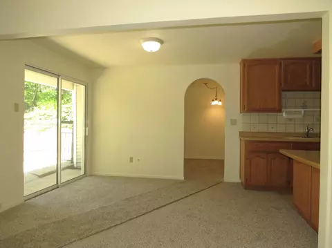 Living - 25160 Pineview Dr, Colfax, CA 95713 photo 14 of 15
