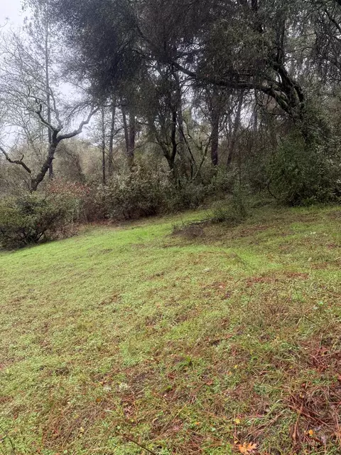 3200 Bird Haven Loop, Cool, CA 95614 photo 8