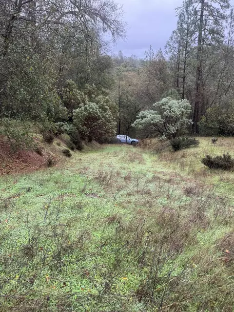 3200 Bird Haven Loop, Cool, CA 95614 photo 2