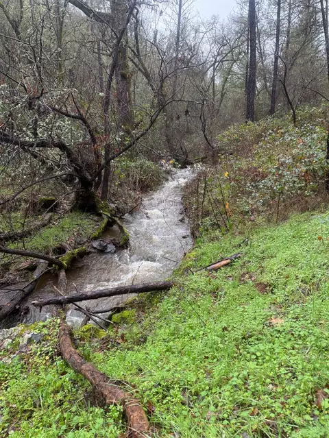 3200 Bird Haven Loop, Cool, CA 95614 photo 9