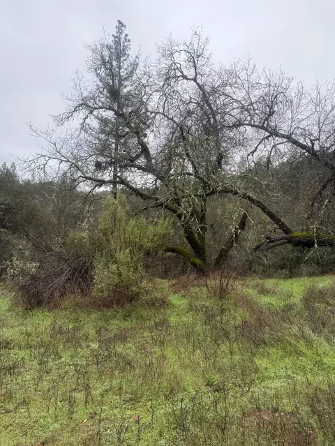 3200 Bird Haven Loop, Cool, CA 95614 photo 5