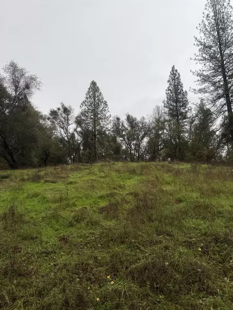 3200 Bird Haven Loop, Cool, CA 95614 photo 15