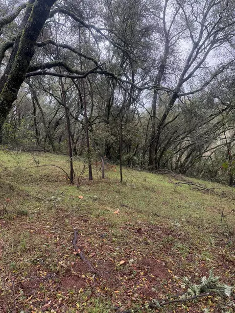 3200 Bird Haven Loop, Cool, CA 95614 photo 22