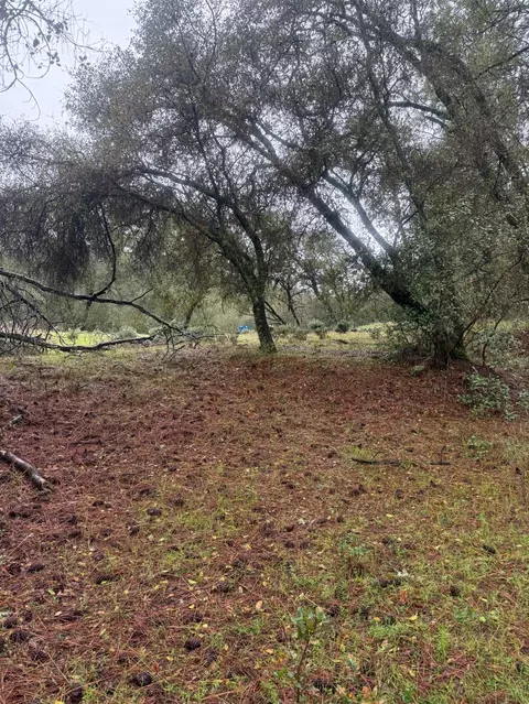 3200 Bird Haven Loop, Cool, CA 95614 photo 17