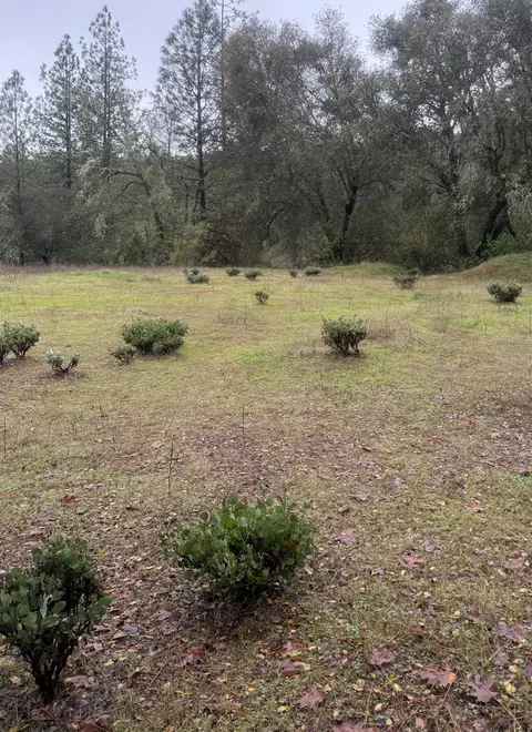3200 Bird Haven Loop, Cool, CA 95614 photo 3