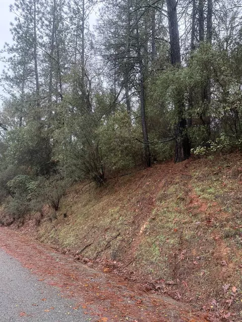 3200 Bird Haven Loop, Cool, CA 95614 photo 28
