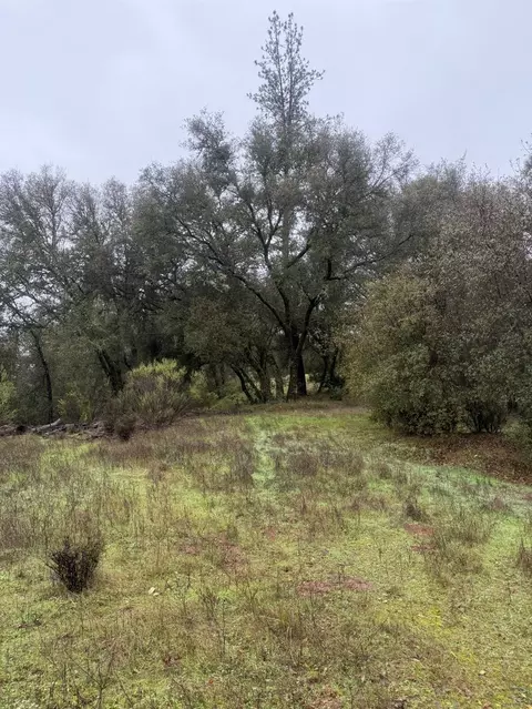 3200 Bird Haven Loop, Cool, CA 95614 photo 20