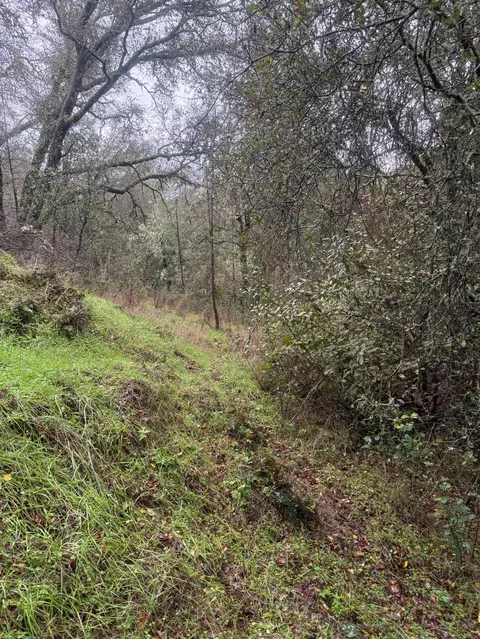 3200 Bird Haven Loop, Cool, CA 95614 photo 6