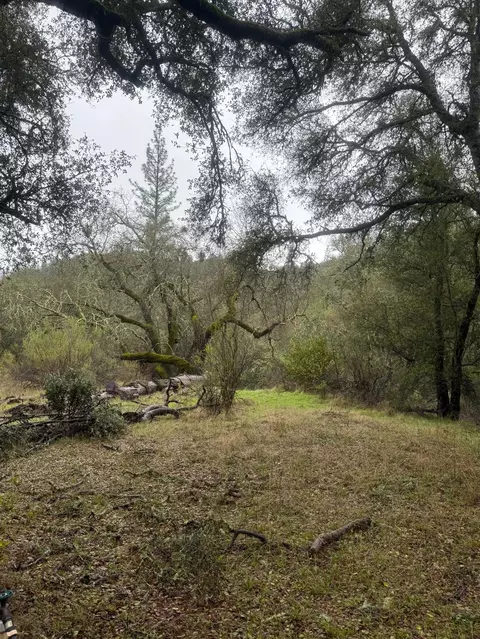3200 Bird Haven Loop, Cool, CA 95614 photo 19