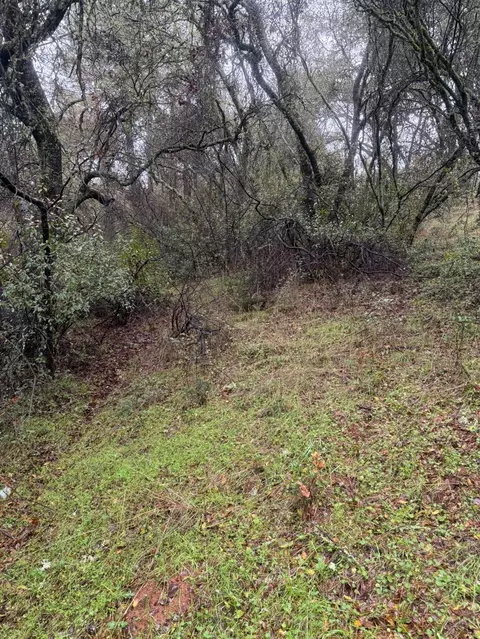 3200 Bird Haven Loop, Cool, CA 95614 photo 14