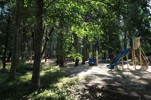 2247 Dardanelle Vis, Dorrington, CA 95223 photo 48