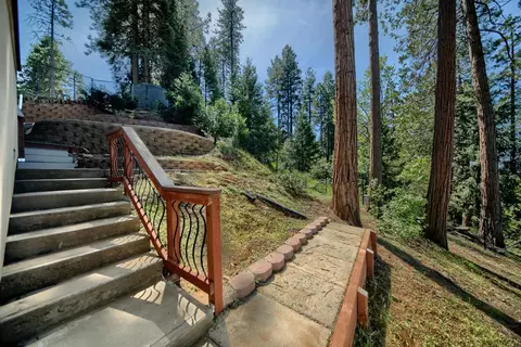 Exterior - 19015 E Pine Dr, Pioneer, CA 95666 photo 7 of 12