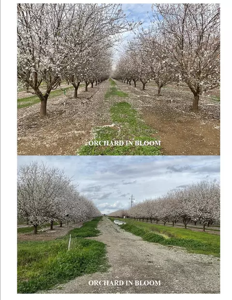16275 Jensen Ln, Esparto, CA 95627
