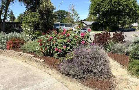 938 Snyder, Davis, CA 95616 photo 5