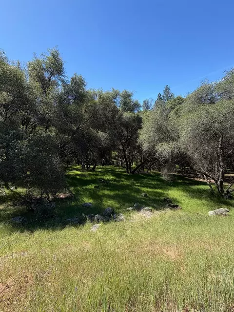11500 Buckeye Cir, Penn Valley, CA 95946