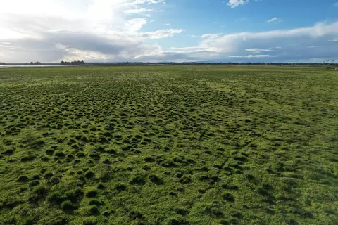 0 Terminous Rd, Isleton, CA 95641 photo 8