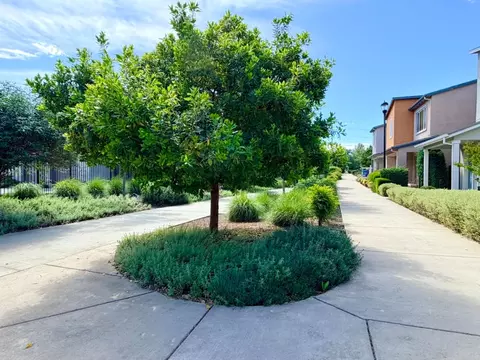 Other - 3216 Koso Ter, Davis, CA 95618 photo 10 of 11