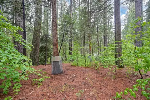 Exterior - 34180 Cable Rd, Alta, CA 95701 photo 19 of 23