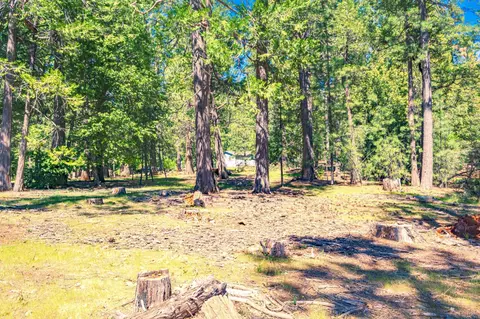 25594 Overland Dr, Volcano, CA 95689 photo 8