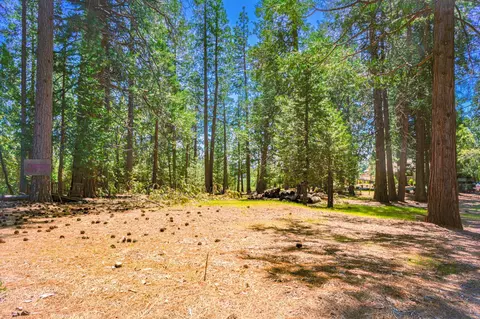 25594 Overland Dr, Volcano, CA 95689