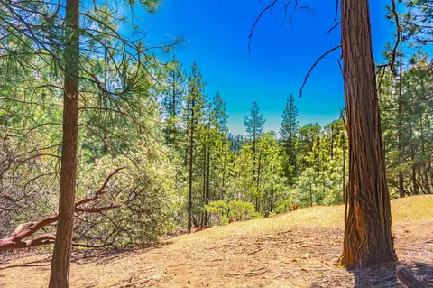 25594 Overland Dr, Volcano, CA 95689 photo 5