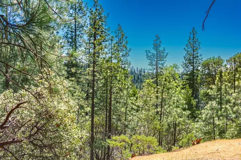 25594 Overland Dr, Volcano, CA 95689 photo 6