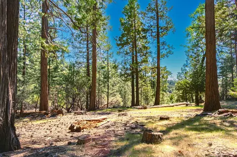 25594 Overland Dr, Volcano, CA 95689 photo 4