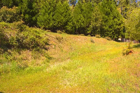16455 Mckenzie Dr, Pioneer, CA 95666