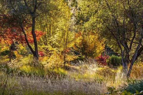 Other - 14446 Perimeter Rd, Grass Valley, CA 95949 photo 10 of 30