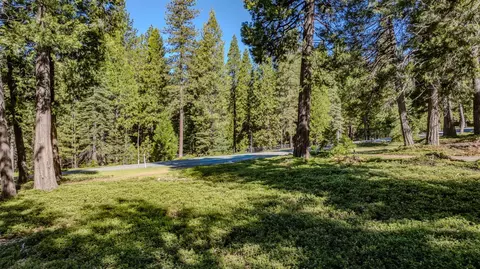27460 State Highway 88, Pioneer, CA 95666