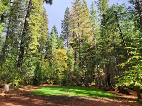 34160 Cable Rd, Alta, CA 95701 photo 18
