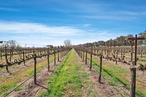 16550 State Highway 160, Isleton, CA 95641 photo 21
