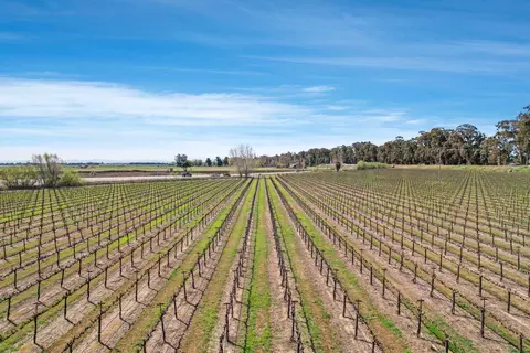16550 State Highway 160, Isleton, CA 95641 photo 20