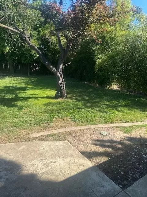 6053 Woodhaven Ave, Carmichael, CA 95608 photo 22