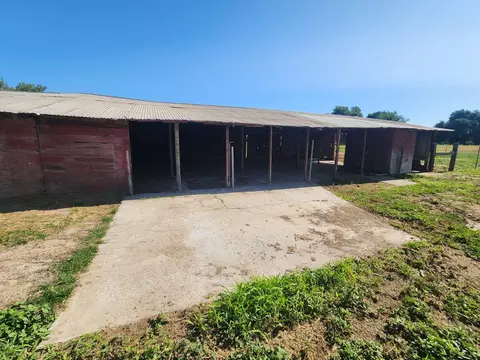 Exterior - 20383 Sutliff Rd, Escalon, CA 95320 photo 13 of 21