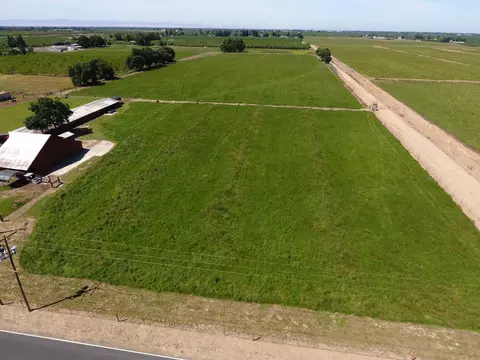 View/Area - 20383 Sutliff Rd, Escalon, CA 95320 photo 20 of 20