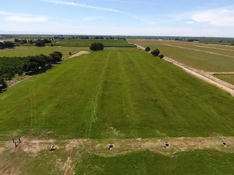 Other - 20383 Sutliff Rd, Escalon, CA 95320 photo 13 of 13