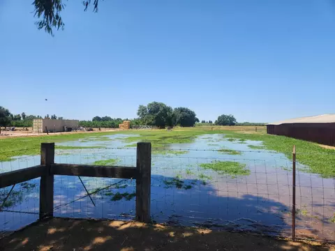 View/Area - 20383 Sutliff Rd, Escalon, CA 95320 photo 9 of 20