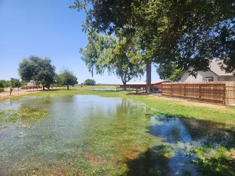 Exterior - 20383 Sutliff Rd, Escalon, CA 95320 photo 18 of 21