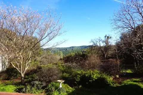 17051 Hale Rd, Fiddletown, CA 95629 photo 43